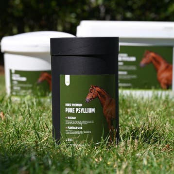 Pure Psyllium Vlozaad voor paarden en ponys - 2,5 kg, Dieren en Toebehoren, Nieuw