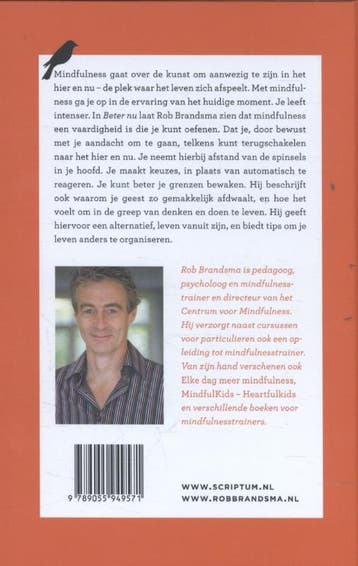 Beter nu 9789055949571 Rob Brandsma, Boeken, Verzenden, Zo goed als nieuw, Rob Brandsma