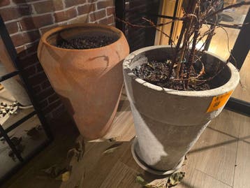 (9x) bloempotten en beelden