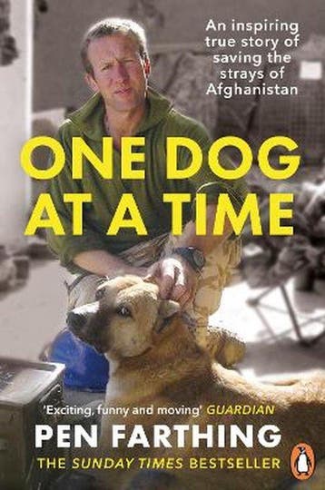 One Dog at a Time - Pen Farthing 9780091928810, Verzenden, Gelezen, Pen Farthing