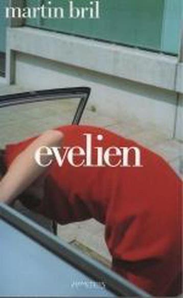 Evelien - Martin Bril 9789044603705, Verzenden, Zo goed als nieuw, Martin Bril