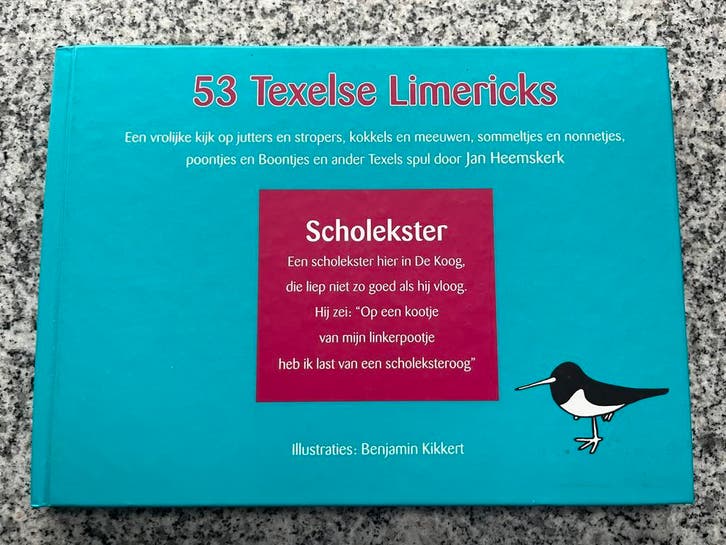 53 Texelse limericks, Boeken, Geschiedenis | Stad en Regio, 20e eeuw of later, Gelezen, Verzenden