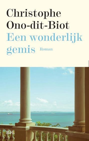 Een wonderlijk gemis 9789463930161 Christophe Ono-Dit-Biot, Verzenden, Gelezen, Christophe Ono-Dit-Biot