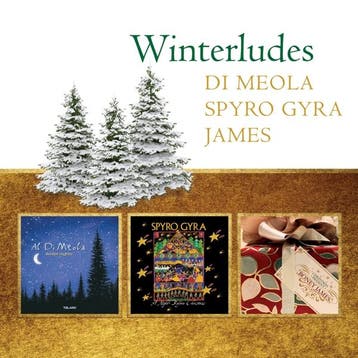 cd - al di meola - WINTERLUDES (nieuw), Verzenden, Zo goed als nieuw