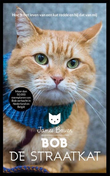 Bob de straatkat / Bob / 1 - James Bowen 9789044349702, Verzenden, Gelezen, James Bowen