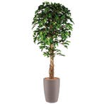 Ficus kunstplant, H210cm, Ophalen of Verzenden, Overige soorten, 200 cm of meer