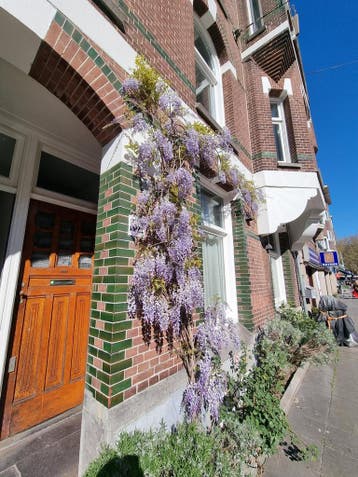 Te huur: Appartement Admiraal De Ruijterweg in Amsterdam, Noord-Holland, Appartement, Amsterdam