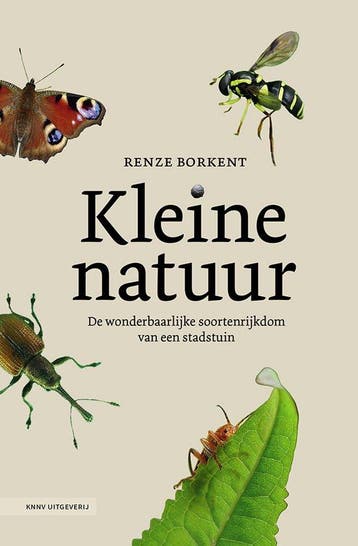 9789050119375 Kleine natuur | Tweedehands, Verzenden, Zo goed als nieuw, Renze Borkent