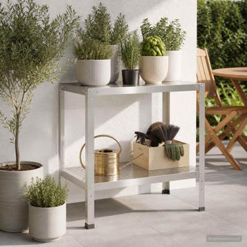 vidaXL Planttafel 80 x 50 x 80 cm Roestvrij staal zilver, Verzenden, Nieuw