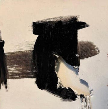 Alina Ditot (1980) - Bianco e Nero