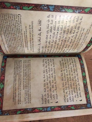De Haggada van Pesach. 7290003027637, Boeken, Verzenden, Gelezen