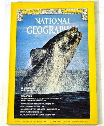 Vintage National Geographic maart 1976 – walvissen,, Verzamelen, Verzenden