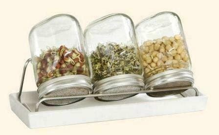 Zelf Kiemen Kweken met Eschenfelder Kiemglazen, Tuin en Terras, Bloempotten, Minder dan 40 cm, Minder dan 25 cm, Overige vormen