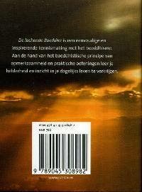 Nirwana / De lachende Boeddha / Nirwana 9789045308982, Verzenden, Gelezen, M. Magill