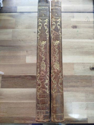 Georges-Louis Leclerc de Buffon; Illustrations Victor Adam;, Antiek en Kunst