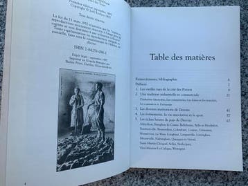 Desvres et son canton (Joel Rochoy), Gelezen, Joel Rochoy, Verzenden, Overige