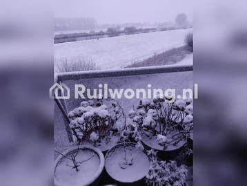 Flat in Doesburg voor woningruil naar Den Haag, Huizen en Kamers, Woningruil, Den Haag