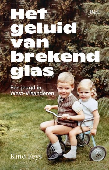 Het Geluid Van Brekend Glas | Rino Feys | Nieuw, Ophalen of Verzenden, Nieuw, Rino Feys