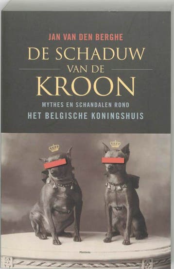 De schaduw van de kroon - J. van den Berghe 9789022319239, Verzenden, Gelezen, J. van den Berghe