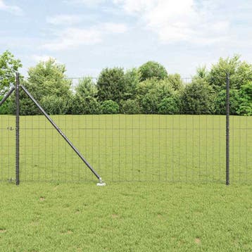 vidaXL Euro-hek met grondpennen 10 x 1,2 m PVC-Coated Staal, Verzenden, Nieuw, IJzer