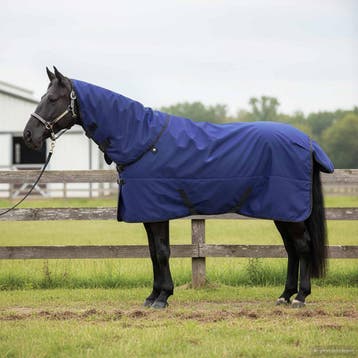 vidaXL Paardendeken Donkergroen en Zwart 145 cm Polyester, Dieren en Toebehoren, Paarden en Pony's | Overige Paardenspullen, Verzenden