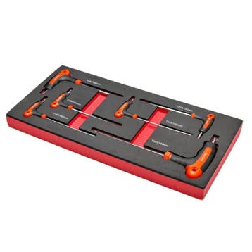 Zesdelige T- Torx set met kunststof handvat in soft foam, Ophalen of Verzenden, Nieuw