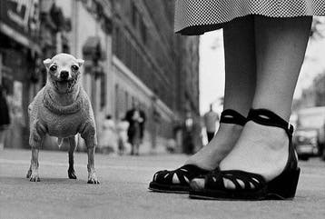 Elliott Erwitt (1928–2018) - New York City, USA. Circa 1950.