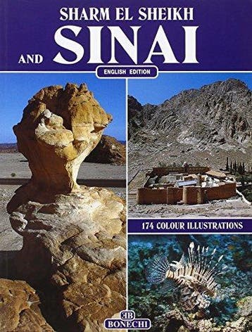 Sharm el Sheikh e il Sinai - Giovanna Magi 9788870099461, Verzenden, Zo goed als nieuw, Giovanna Magi