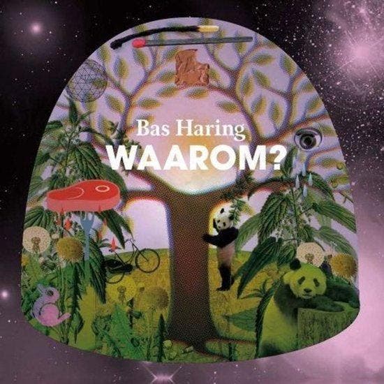 Cd - Bas Haring - Waarom, Cd's en Dvd's, Cd's | Overige Cd's, Verzenden