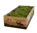 Rendiermos mosgroen 5000 gram, Verzenden, Nieuw