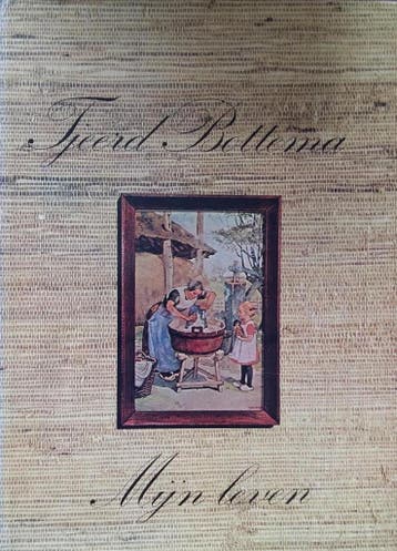Mijn leven 9789062720019 Bottema, Boeken, Verzenden, Gelezen, Bottema
