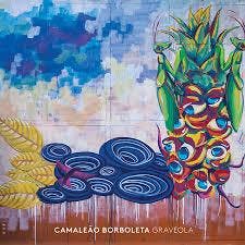 cd digi - Graveola - CamaleÃ£o Borboleta, Cd's en Dvd's, Cd's | Latin en Salsa, Zo goed als nieuw, Verzenden