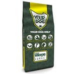 YOURDOG AFGHAANSE WINDHOND SENIOR 12 KG (Honden, Huisdieren), Verzenden, Nieuw