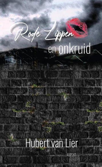 Rode lippen en onkruid - Hubert Van Lier 9789463388429, Verzenden, Gelezen, Hubert Van Lier