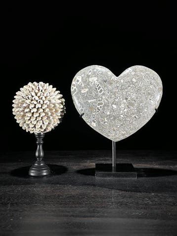 Decoratief ornament - NO RESERVE PRICE - Stunning pair of
