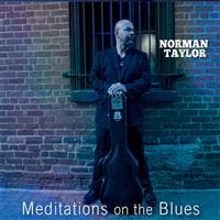 cd - Norman Taylor - Meditations On The Blues, Verzenden, Nieuw in verpakking