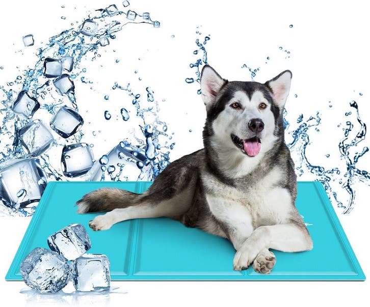 Koelmat Hond & Kat - 77x110 cm - XL - Blauw - Nobleza, Dieren en Toebehoren, Honden-accessoires, Zo goed als nieuw, Verzenden