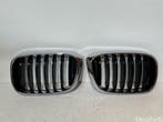 BMW X3 G01 Nieren Grille 51137440853 51137440854, Ophalen, Gebruikt, Voor