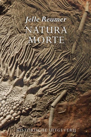 Natura morte - Jelle Reumer 9789065540256, Boeken, Verzenden, Zo goed als nieuw, Jelle Reumer