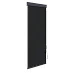 vidaXL Rolgordijn voor buiten 60x250 cm antraciet, Huis en Inrichting, Verzenden, Nieuw