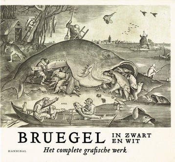 Bruegel in zwart en wit - Maarten Bassens 9789463887199, Verzenden, Zo goed als nieuw, Maarten Bassens