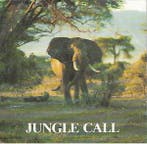 Single vinyl / 7 inch - Yvan Guilini - Jungle Call, Verzenden, Zo goed als nieuw, 7 inch, Pop