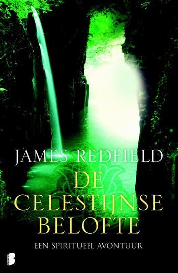 De Celestijnse belofte - James Redfield 9789022558829, Verzenden, Gelezen, James Redfield