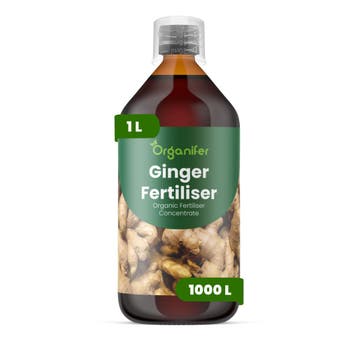 Gember vloeibare meststof - 1 liter, Verzenden, Mest