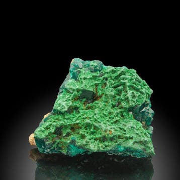 Glanzend smaragdgroen DIOPTASE Kristal op matrix - Hoogte: 5, Verzamelen