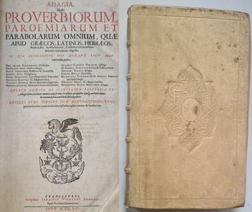 Desiderius Erasmus, Hadrianus Junius, Polydorus Vergilius, Antiek en Kunst