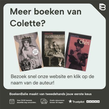De eerste keer dat ik mijn hoed verloor / Privé-domein / 291, Boeken, Literatuur, Verzenden, Zo goed als nieuw, Colette