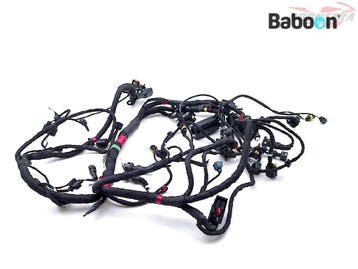Kabelboom Ducati Hypermotard 939 2017-2018 (5101A641D), Motoren, Onderdelen | Ducati, Verzenden, Gebruikt