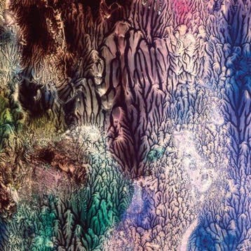 Womb - Womb -Lp+Cd, Verzenden, Nieuw in verpakking