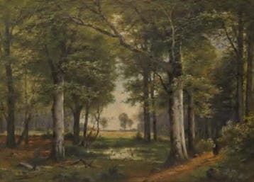 Jacobus Johannes van Poorten (1841-1914) - Waldlichtung mit